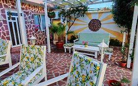 Guest House Аnestievi